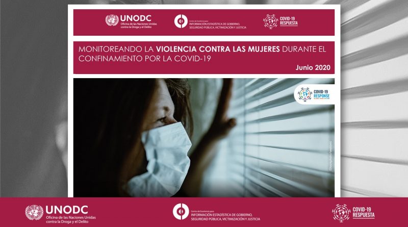 VAW_COVID_Mexico_junio2020_02